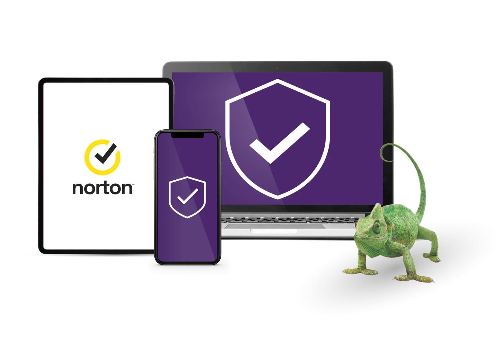 Norton_Lizard